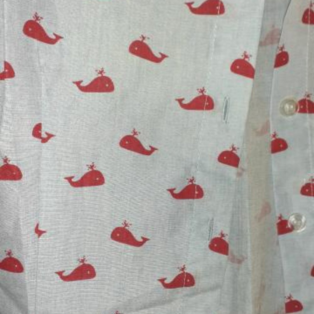 Medium Button Down Blouse - image 3